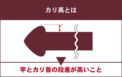 カリ高とは？どういう亀頭のことですか？